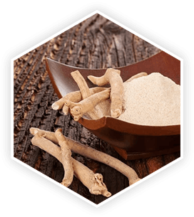 prostavive ingredients – ashwagandha for prostate health support